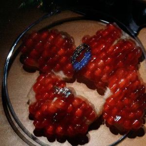 黄色干逼软件网站
