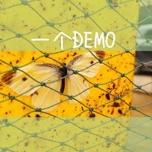 黄色干逼软件网站
